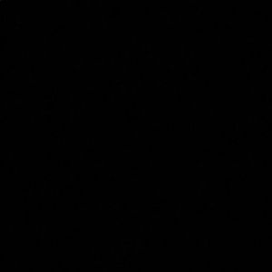 Meet your Posher, Timmy